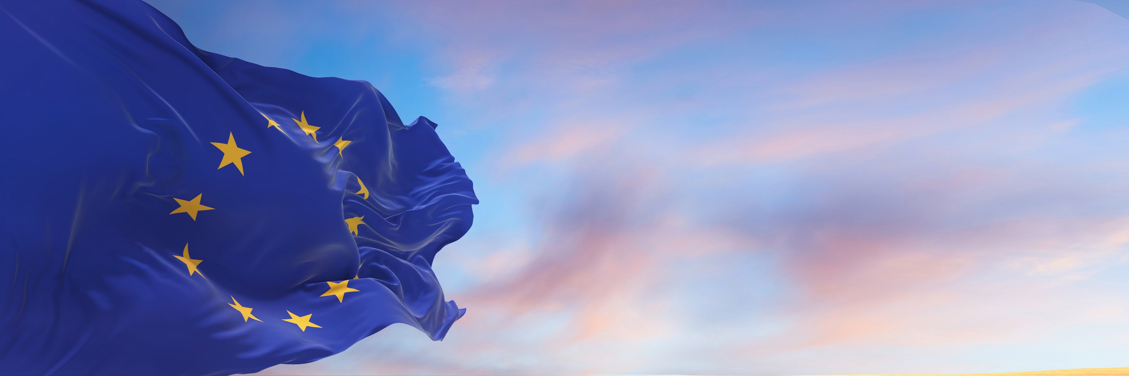 Banner Eu Development VDO Workshop United Kingdom